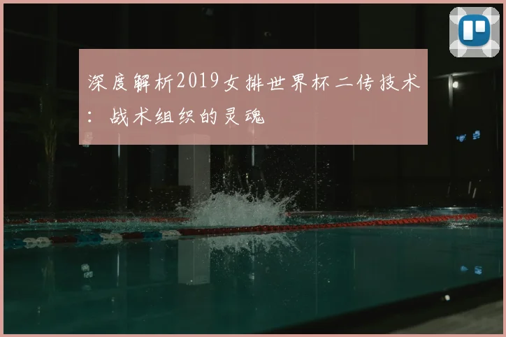 深度解析2019女排世界杯二传技术：战术组织的灵魂