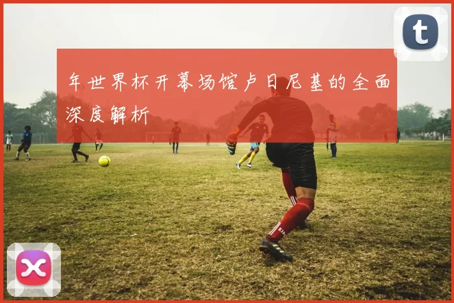 年世界杯开幕场馆卢日尼基的全面深度解析