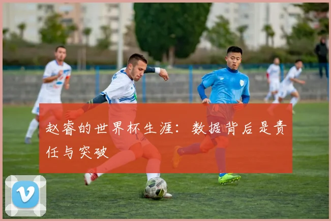 赵睿的世界杯生涯:数据背后是责任与突破