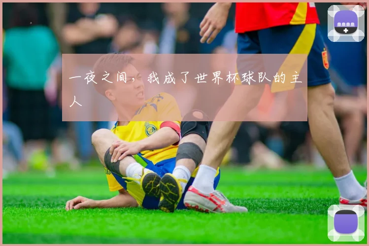 一夜之间,我成了世界杯球队的主人